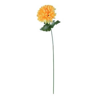 Chryzantema kula b083cef4b903d9079c054d69ffec0aa6