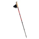Kije Viking Kube Pro Nordic Walking