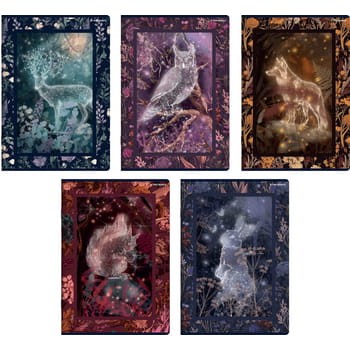 Zeszyt TOP 2000 Fairytale A5 32 kartek w linię z marginesem e256f4ef7ba39f99ae2780159885d12a