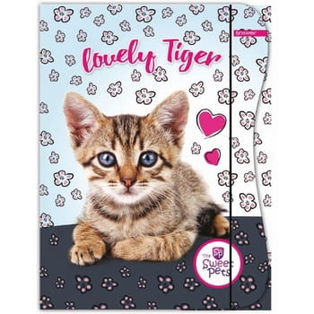 Teczka z gumką A4 Kids Sweet Pets Beniamin 506fbf5f85bdfcd9a5740e661f6ba026