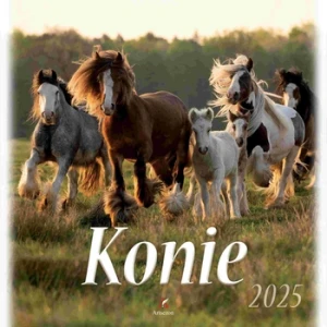Artsezon kalendarz wieloplanszowy konie 33x33 cm