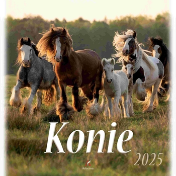Artsezon kalendarz wieloplanszowy konie 33x33 cm Artsezon kalendarz wieloplanszowy konie 33X33 cm