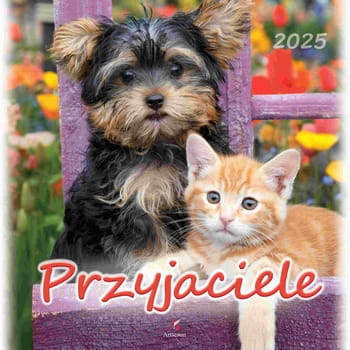 Artsezon kalendarz przyjaciele 33x33 45d7f1c55ece94363600febf07fdd1c6