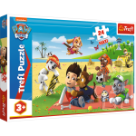 Puzzle Maxi 24 mix Trefl