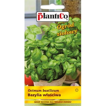PlantiCo Bazylia właściwa b94a4b861c9d3713e3af4212ad8cae9f