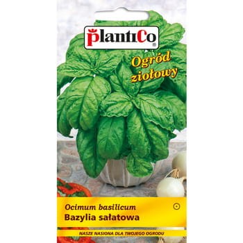 PlantiCo Bazylia sałatowa c31aabf0333cbeed1c0a96ba19675340