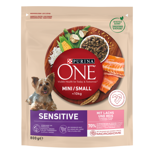 Purina ONE MINI Sensitive Karma dla psów z łososiem z ryżem 800g