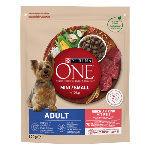 PURINA ONE MINI Adult Karma dla psów z wołowiną i ryżem 800g