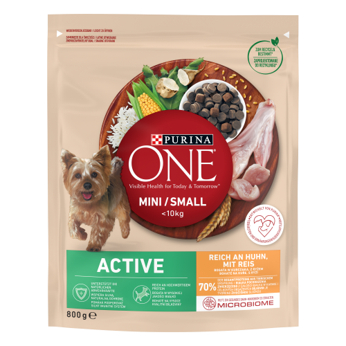 Purina ONE MINI Active Karma dla psa Kurczak Ryż 800g