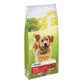 Friskies® Active z Wołowiną 10kg