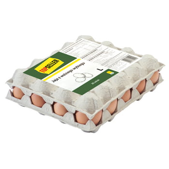 TOPSELLER Jaja z wolnego wybiegu klasa wagowa L x 20 sztuk 19799832_0_1736516245407.jpg