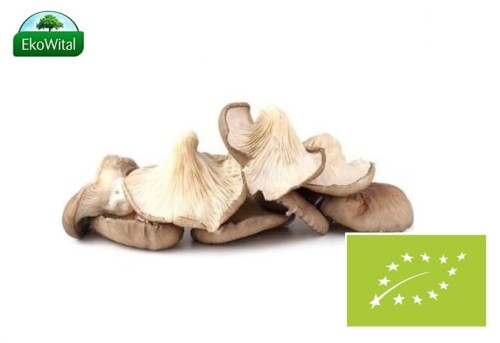 Grzyb BOCZNIAK BIO 200 g # 983_0_784032.jpg