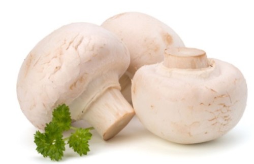 Pieczarka biała BIO 250 g # 670_1_4251.jpg