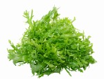 Sałata frisse ok. 500 g