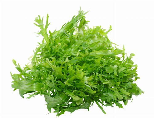 Sałata frisse ok. 500 g 115757.jpg
