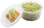 Kiełki brokuła ok. 50 g BIO