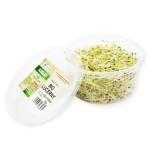 Kiełki lucerny ok. 50 g BIO