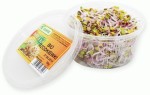 Kiełki rzodkiewki ok. 50 g BIO