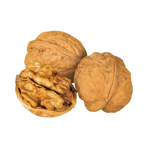 Orzechy włoskie w łupinie ok. 500 g 438d98c6177083eb8c4a485e74c1ff65.png