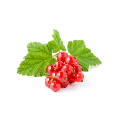 Porzeczki czerwone krajowe ok. 250 g 5e942105b3930fac75680e03976378cd.png