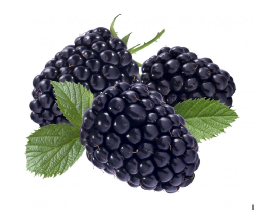 Jeżyny import ok. 125 g 40429.png