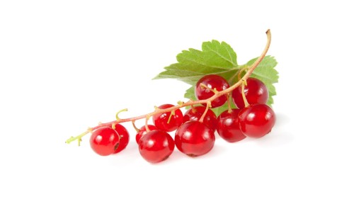 Porzeczki czerwone import ok. 125 g 115838.jpg