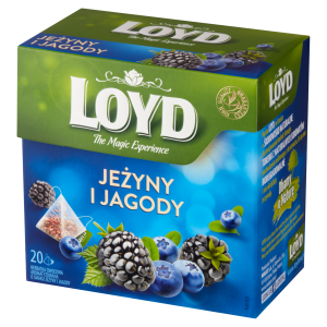 Loyd Herbatka owocowa jeżyna jagoda 40 g (20 torebek)