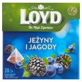 Loyd Herbatka owocowa aromatyzowana o smaku jeżyny i jagody 40 g (20 torebek)