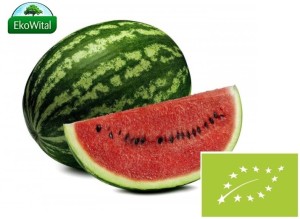 Arbuz (MINI) BIO IMPORT 1 kg #