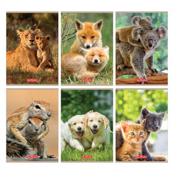 Zeszyt Herlitz A5 16 linia podwójna Animals 95903_0_1746736939623.jpg
