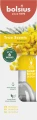 Bolsius Dyfuzor zapachowy 60ml True Scents MIMOZA