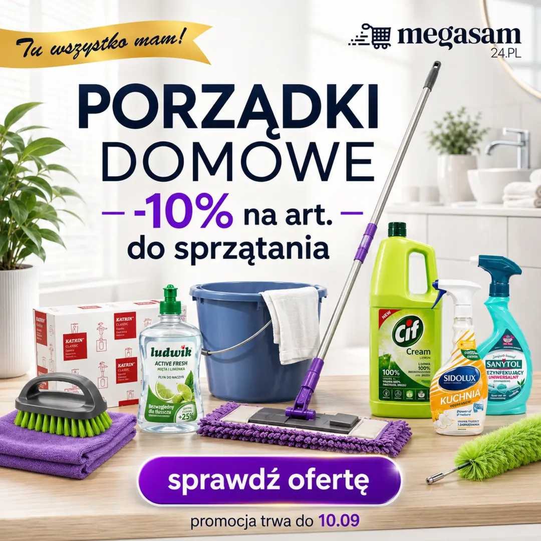 Porządki domowe